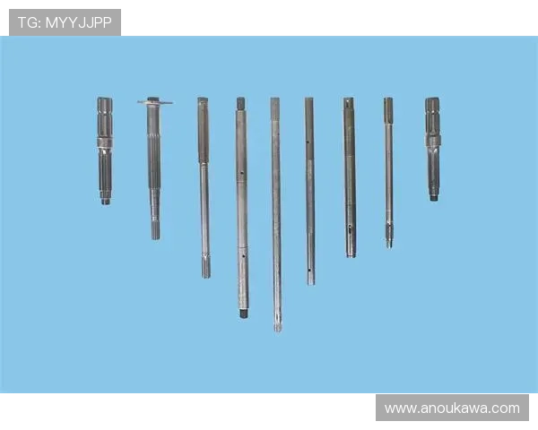 凯发体育平台首页官网安全保障措施与用户权益保障分析