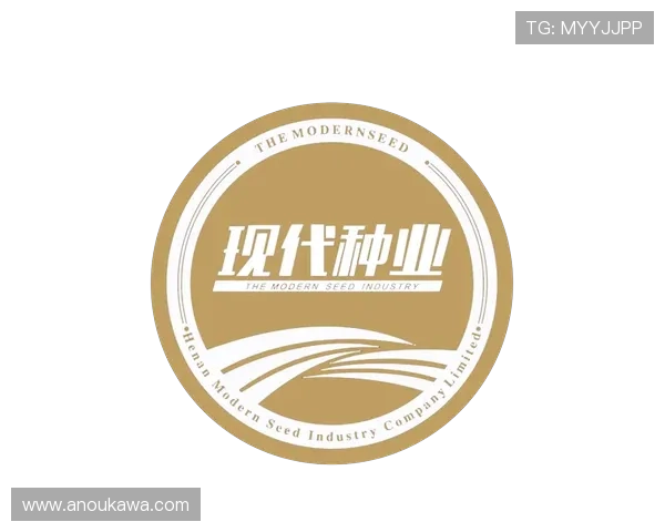K8凯发一触即发引企如何实现企业数字化转型与快速增长